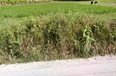 Tirane For Sale Land  Mullet, Tirane Building Plot Industrial Land